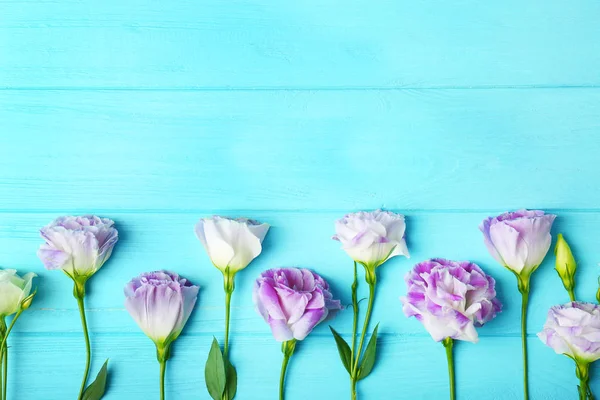 Moldura de flores frescas — Fotografia de Stock