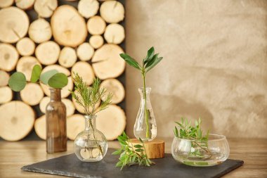 Cam vazo masada bitkilerde 