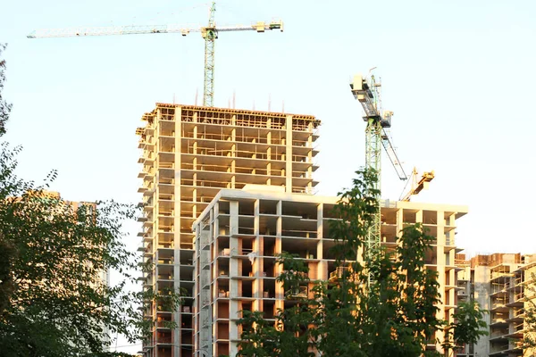 Grues de construction et bâtiment — Photo