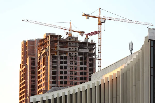 Grues de construction et bâtiment — Photo