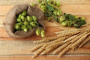 Hop ve buğday ile kulakları çuval 