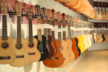 Gitar müzik shop