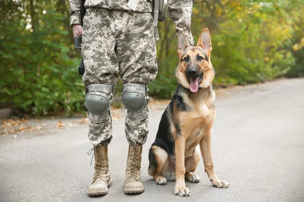 Soldier with military working dog