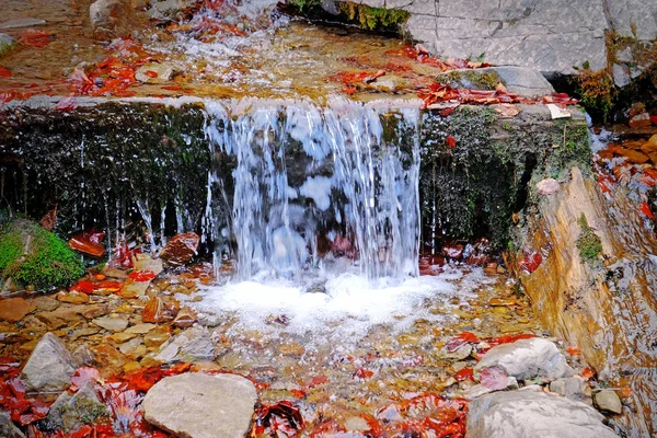 Pequeña cascada en las montañas — Foto de Stock