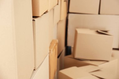 Karton Kutularda, portre