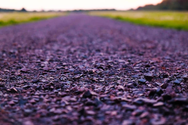 Фиолетовая дорога — стоковое фото