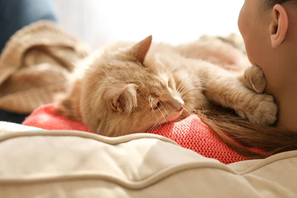 Mujer joven con gato lindo en el sofá —  Fotos de Stock