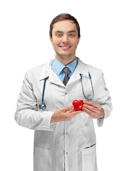 Çalışan genç bir doktor — Stok fotoğraf