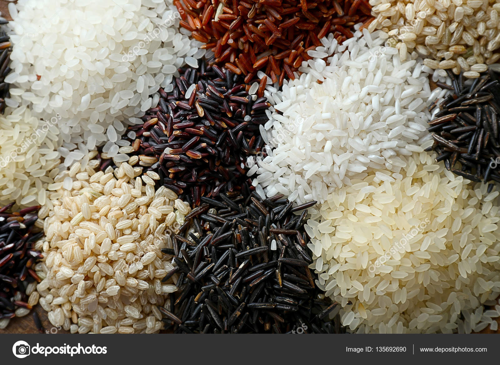 Different types of rice ? Stock Photo, Image by © belchonock #135692690