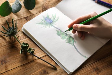 Female hand drawing plant in sketchbook on wooden background clipart