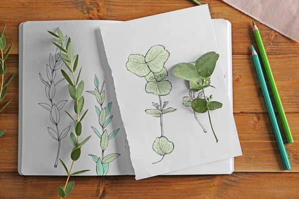 Plants and sketchbook with drawings on wooden background