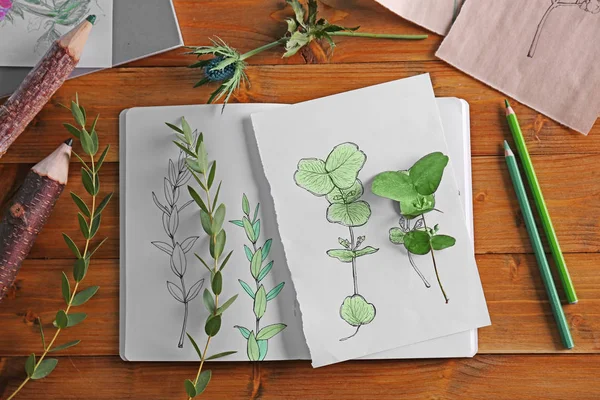 Plantas y cuaderno de bocetos con dibujos sobre fondo de madera —  Fotos de Stock