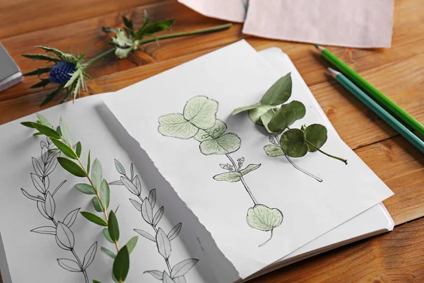 Plants and sketchbook with drawings on wooden background