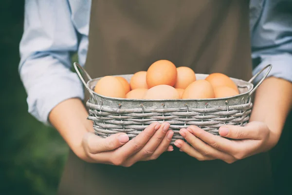 Mani che tengono uova crude — Foto Stock