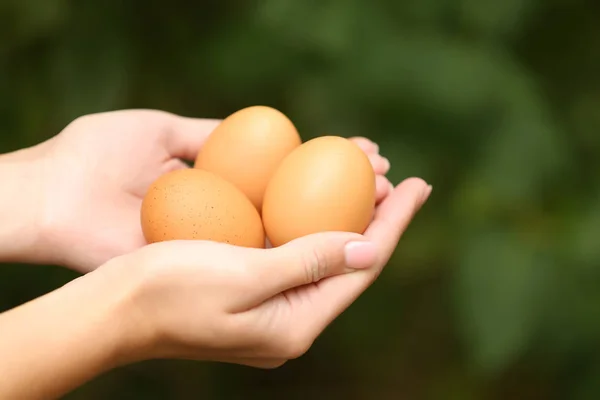 Hands holding raw eggs — Stock Photo, Image