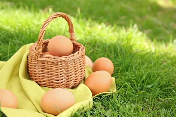 Сырые яйца в корзине — стоковое фото