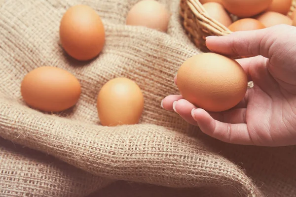 Hand hält rohes Ei — Stockfoto