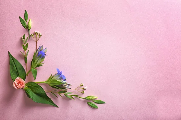 Zusammensetzung von Blüten und Blättern — Stockfoto