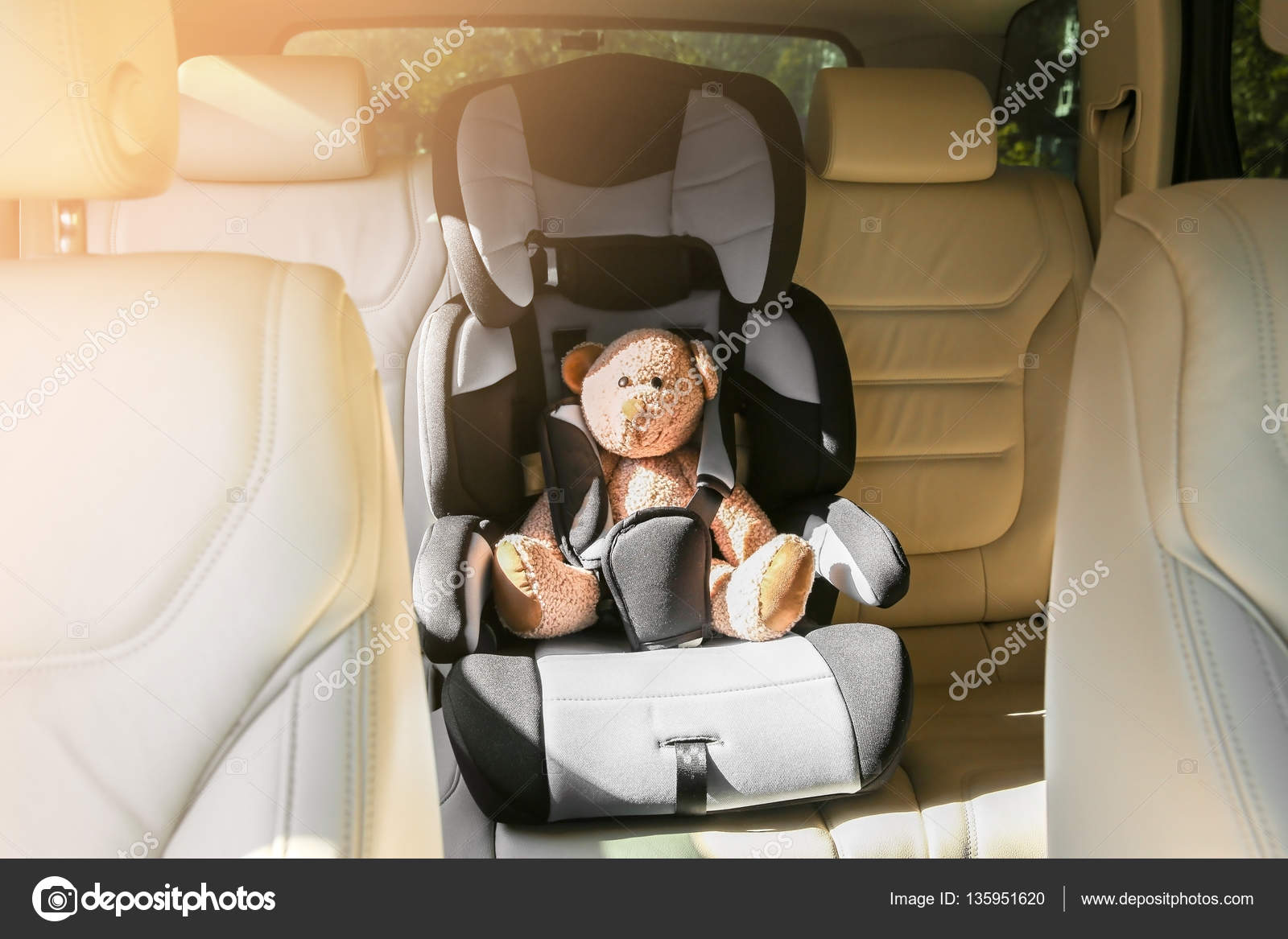 teddy bear seat for baby