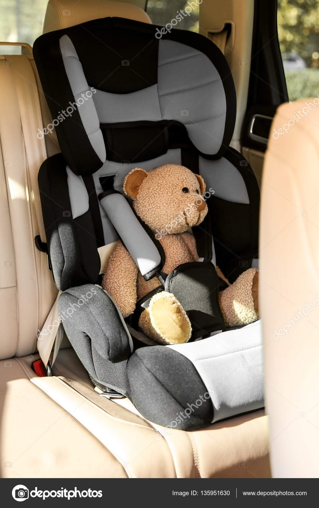 teddy bear in car