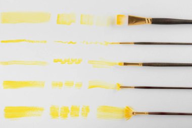 Fırçalar ve boya beyaz arka plan üzerinde