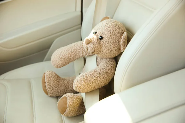 Araba koltuğu tokalı oyuncak ayı ile — Stok fotoğraf