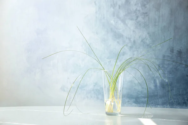 Szklany wazon z zielonych roślin na kolor tła — Zdjęcie stockowe