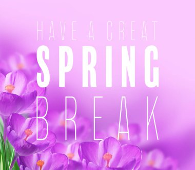 Metin var A büyük Spring Break ve çiçek renk arka plan üzerinde. Ek eğitim kavramı