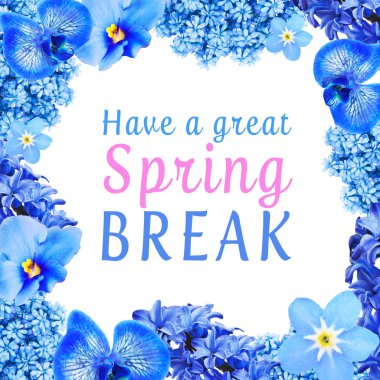 Text HAVE A GREAT SPRING BREAK with floral frame on white background. Additional education concept clipart
