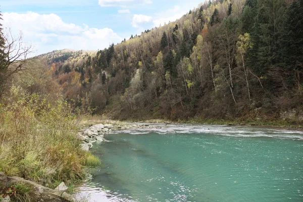 Flusso forestale dei Carpazi — Foto Stock