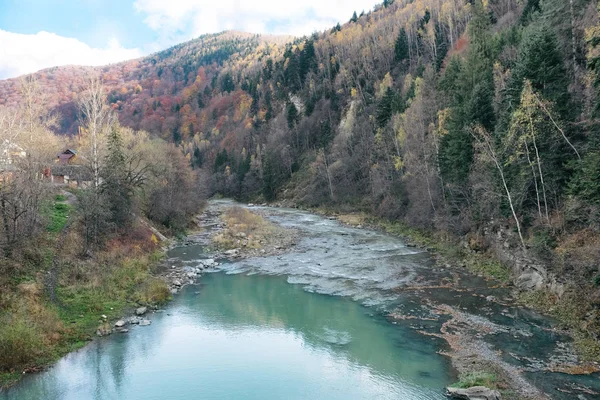 Ruisseau forestier des Carpates — Photo