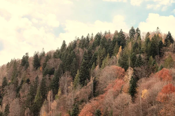 아름 다운 카 르 파 티아 풍경 — 스톡 사진