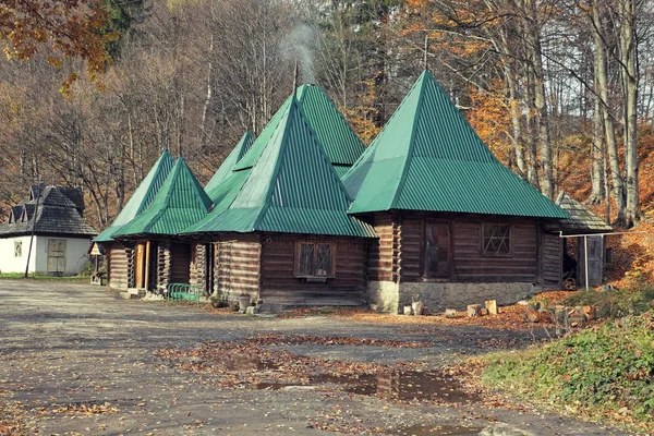 Красиві дерев'яні будинки в осінньому лісі — стокове фото