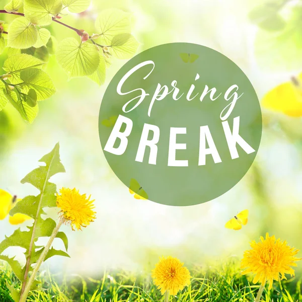 Text SPRING BREAK on nature background. Additional education concept — Stock Photo, Image