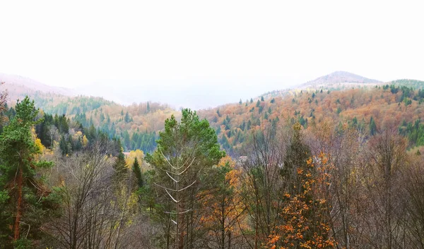 Widok góry jesień — Zdjęcie stockowe