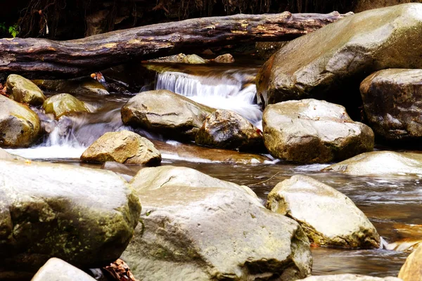 Stream flowing through rocky path — Stock Photo, Image