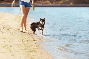Shiba inu köpeği olan kadın.