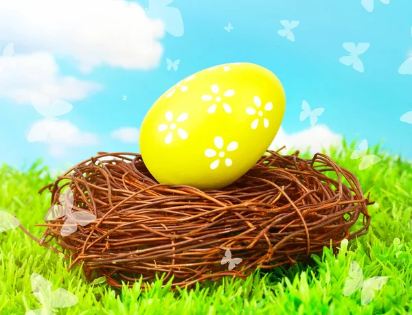 Yuvada Paskalya yumurtası — Stok fotoğraf