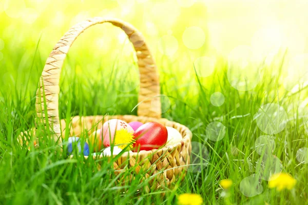 Cesta de mimbre con huevos de Pascua — Foto de Stock