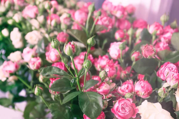 Mooie rozen bij Flower Shop — Stockfoto