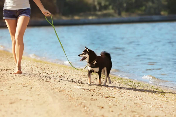 芝犬を持つ女性、リバーサイド — ストック写真