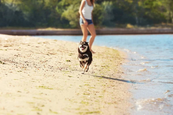 Mujer con Shiba Inu a orillas del río — Foto de Stock