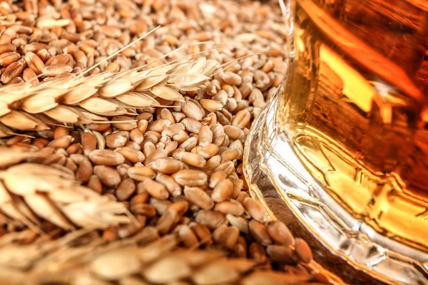 大麦种子和杯啤酒 — 图库照片