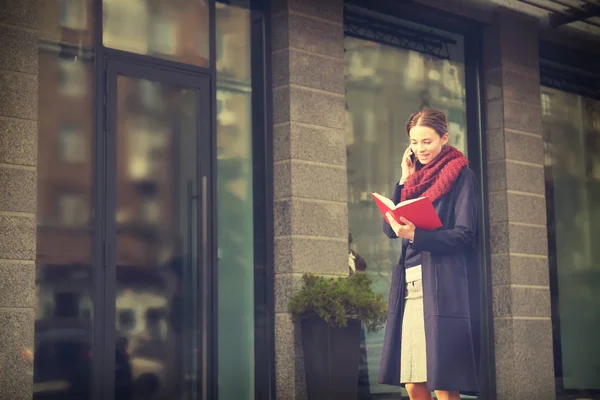 Young beautiful businesswoman — Stock Photo, Image