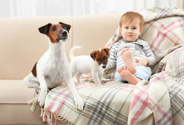 Söt liten pojke med hund — Stockfoto