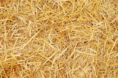 dry straw texture clipart