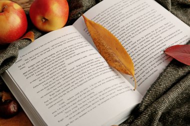 Kitapla güzel sonbahar kompozisyonu