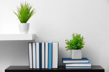 Yeni kitaplar ile raf