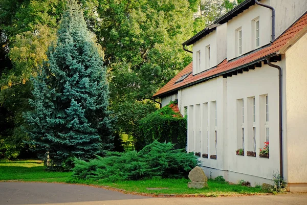 Blick Auf Schöne Moderne Gebäude Der Nähe Des Parks — Stockfoto