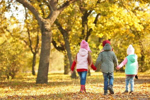 Mutlu çocuk güzel sonbahar Park'ta dinlenme grup